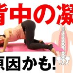 【背中の凝りは万病の元！】ガチガチに固まった背中をほぐして楽になる！背中ストレッチ【肩こり解消】