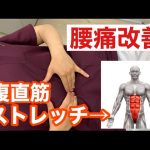 お腹のストレッチ　腹直筋　はしもと接骨院
