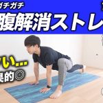 「下っ腹」が確実に変わる"腸腰筋だけ"ストレッチ【毎日10分で骨盤+股関節がやわらかくなる：高難度】