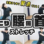 【8分】腰痛・首こり・肩こりを"まとめて解消"するストレッチ！【座ったままできる◎】