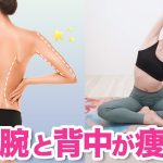【バキバキな人ほど効く】二の腕背中が痩せて姿勢も改善する！バレリーナがやっている肩甲骨ストレッチ【猫背改善】