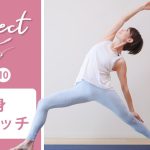 【Day10】 Connect - 30 Days Yoga　全身ストレッチ #429