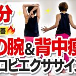 【全力17分】二の腕＆背中の脂肪が燃える！【エアロビエクササイズで綺麗な上半身づくり】